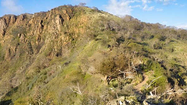Eagle peaks circuit hike (26km)