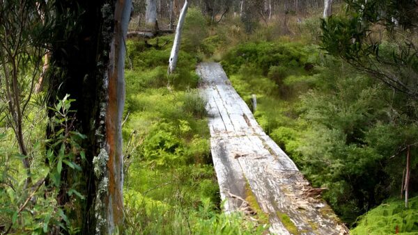 Gloucester Tops Circuit Hike (8km) Gloucester tops circuit hike (8km)