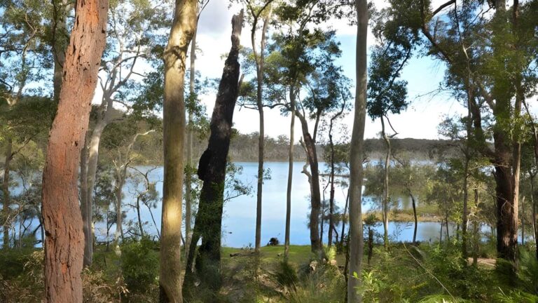 Lake walking track (8km)