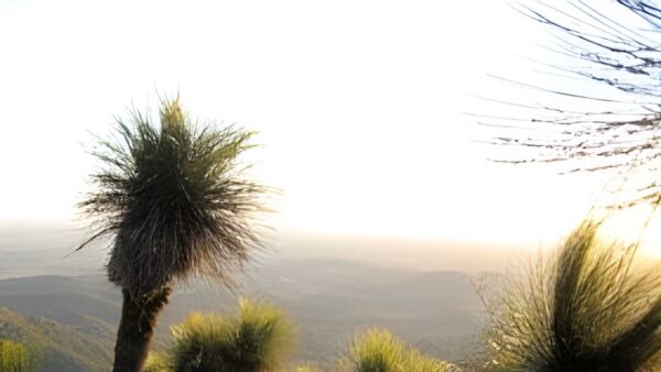 Mount kiangarow track (2. 3km)