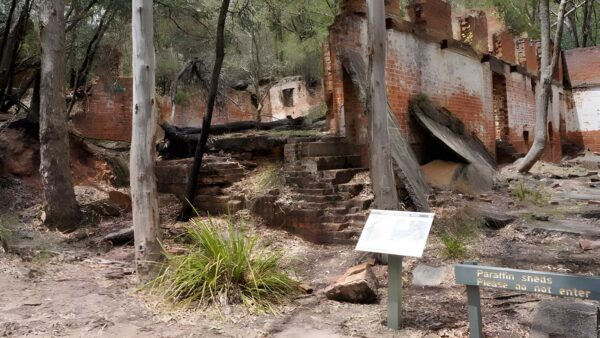 Newnes industrial ruins walk (2. 5km)