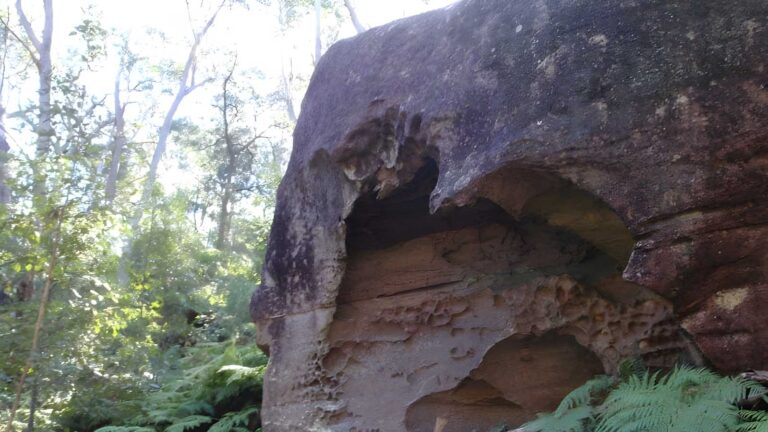 Shepherds Gully & Devines Hill Walk (4km) Shepherds gully & devines hill walk (4km)
