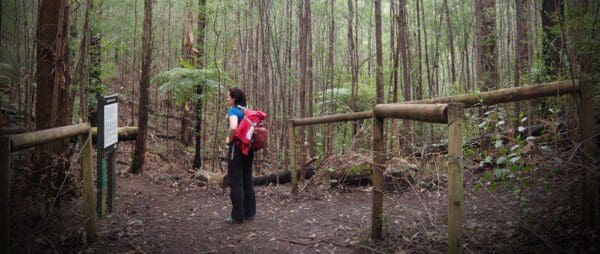 Trail hiking labertouche south hells gate 13 6km 600x254