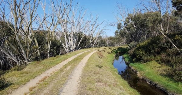 Day Hikes Australia Trail hiking langfords aqueduct 1 kellys hut 600x315