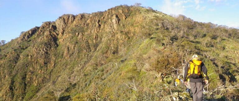 Trailhiking eagle peaks 1 768x325