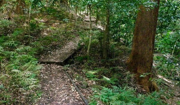 Cascades walk trail hiking australia 600x352