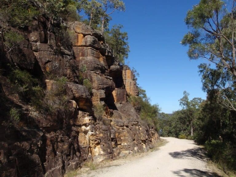 Devines Hill Walk (3.6km) Devines hill 768x576