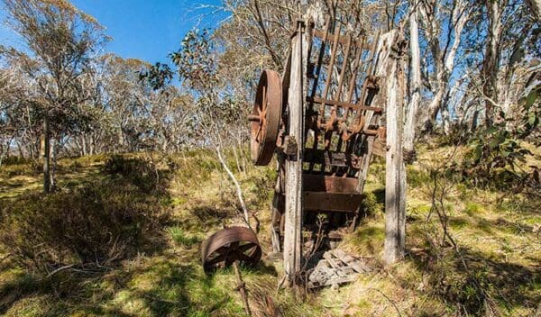 Kiandra Heritage Track (1.2km) Goldseekers track trail hiking australia 600x352