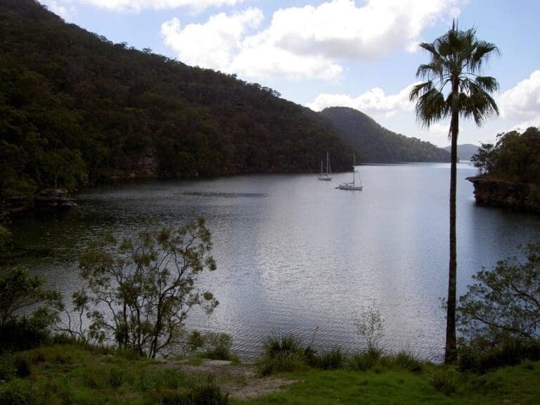 Jerusalem Bay Track: Jerusalem Bay Walk (4.9km) Jerusalem bay track to jerusalem bay and back 768x576