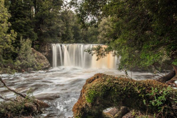 Enchanted Forest Walk (1.6km) Knyvet falls 600x400