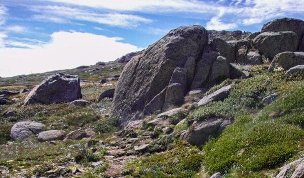 Charlotte Pass to Village Dam Walk (800m) Mount stillwell walk trail hiking australia 600x352