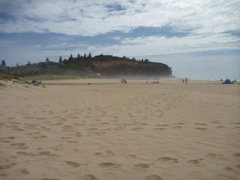 Northern redhead beach walk 768x576