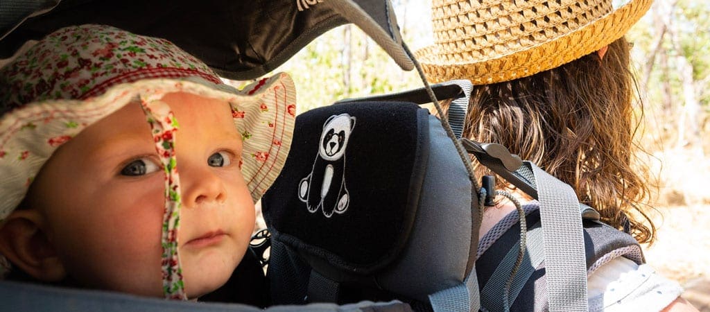 Panda 2024 child carrier