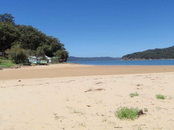 Patonga to wondabyne station via mt wondabyne 600x450