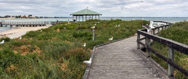 Penguin Island Boardwalk & Trail Walk (1.5km) Penguin island boardwalk 768x325