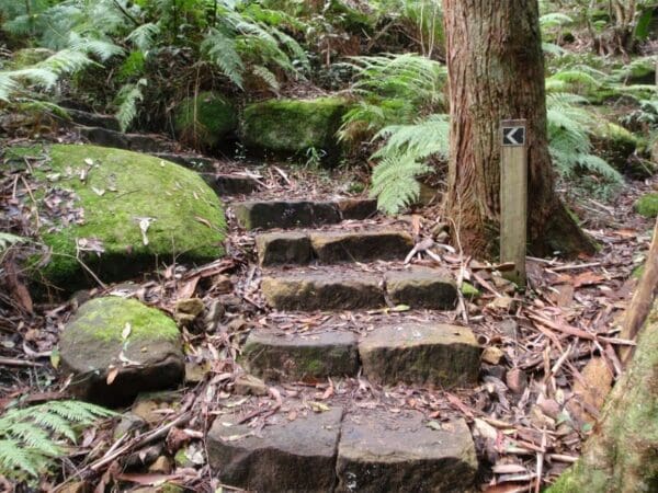 Rail to river walk 600x450