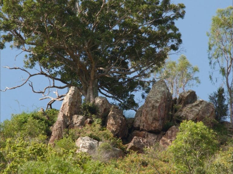 Rocky knoll lookout trail 768x576