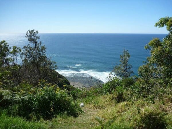 Stephenson rd to crackneck lookout 600x450