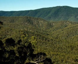 The Pinnacle Walking Track Trail Hiking Australia
