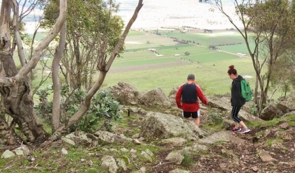 Yerong walking track trail hiking australia 600x352