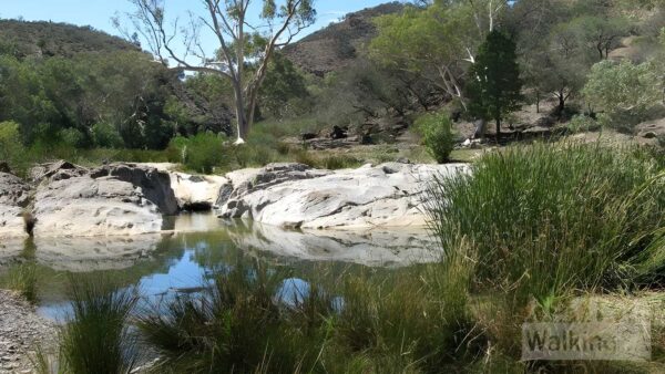 Blinman pools walk (12km)