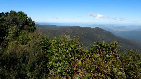 Careys peak walking track (14km)