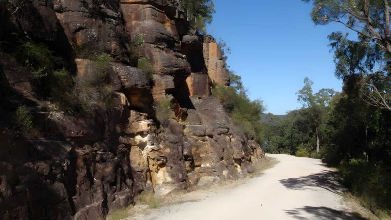 Devines hill walk (3. 6km)