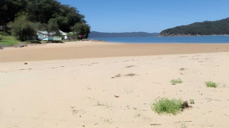 Patonga to wondabyne station - mt wondabyne hike (19. 5km)