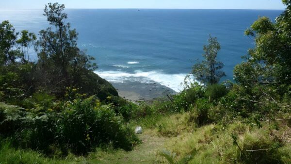 Stephenson road to crackneck lookout walk (600m)