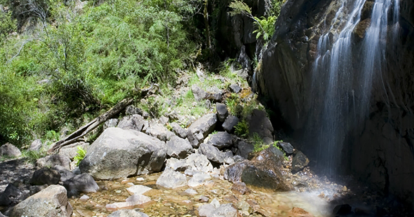 Hikes Trail hiking bluff creek nature trail 4km 600x315
