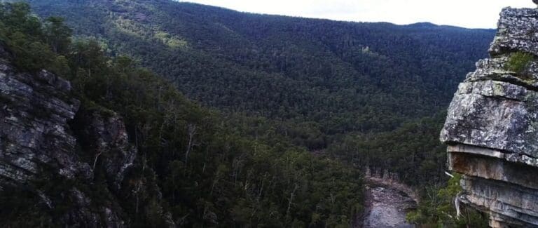 Alum cliffs lookout trail hiking australia 768x325