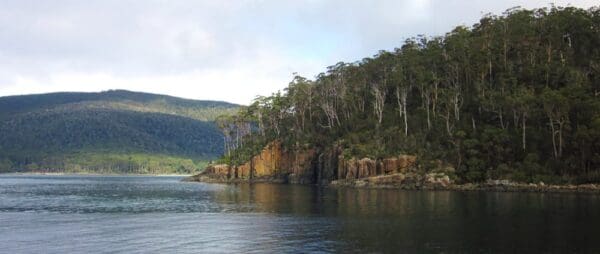 Three Capes Track (46km) Bivouac bay walk trail hiking australia 600x254