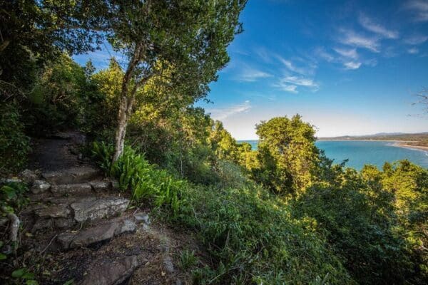 Little Five Rocks Beach Track (1.2km) Bluff point track 600x400