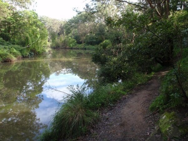 Chatswood to epping station 600x450
