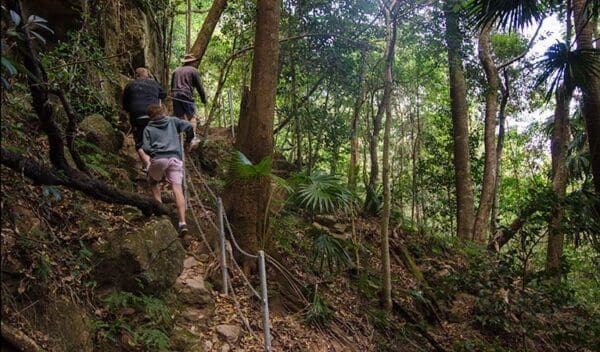 Hikes Mount kembla ring track trail hiking australia 600x352