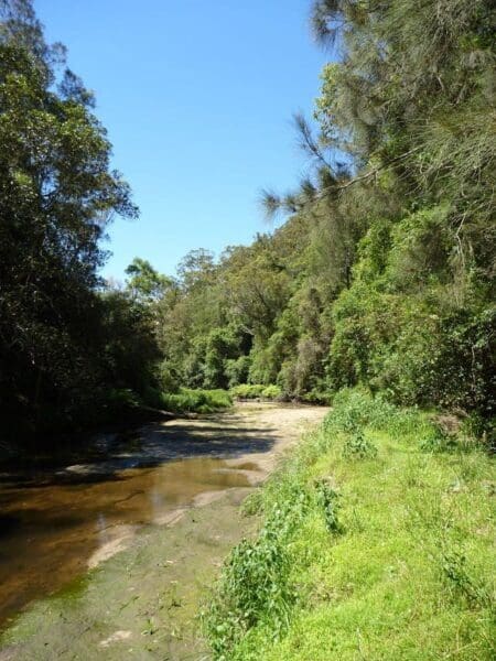 Mt kuring gai track to berowra station 450x600