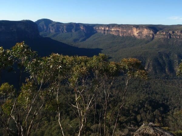 Perrys lookdown to blue gum forest 600x450