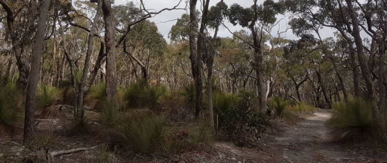 The Burchell Trail Trail Hiking Australia 2