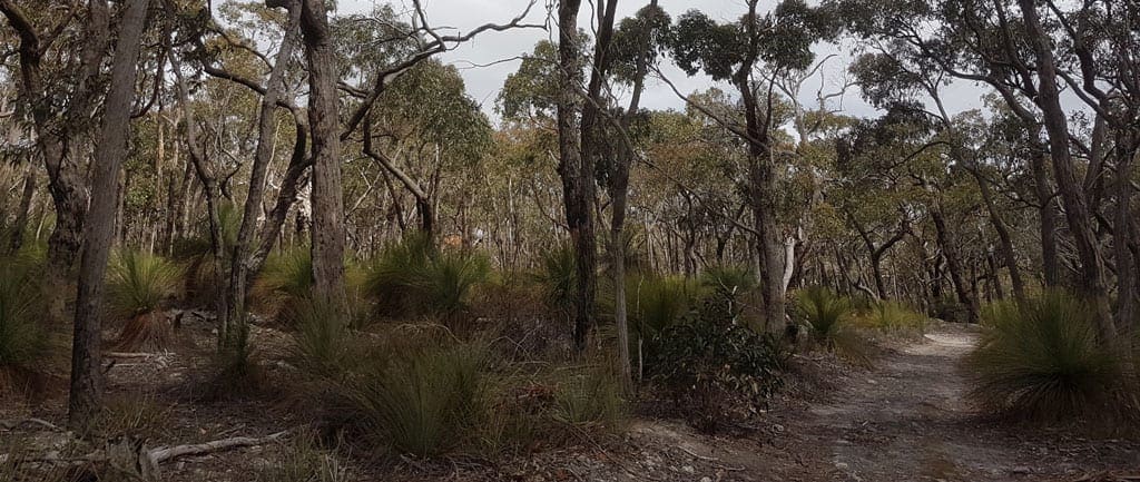 The Burchell Trail Trail Hiking Australia