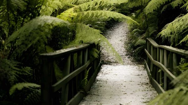 Mount worth gardiners mill walk (3. 3km)