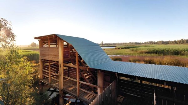 Reed beds bird hide boardwalk (1km)