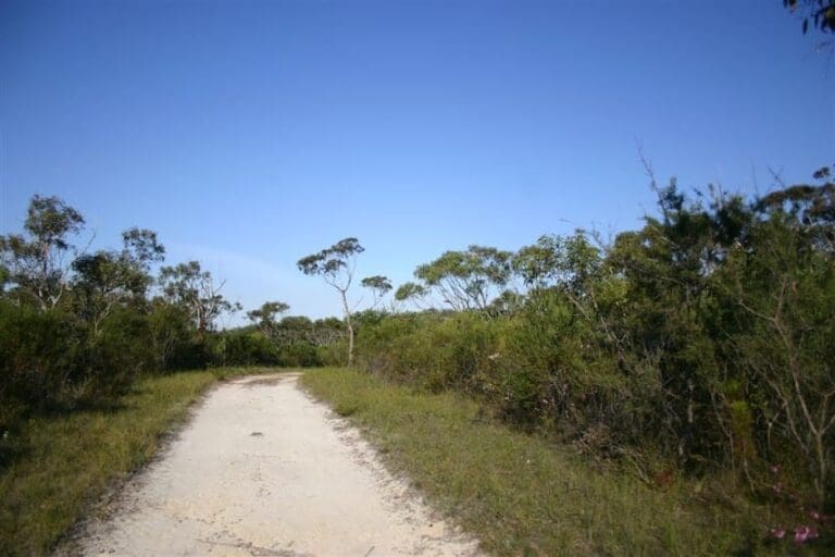 Bairne track to the basin lookout 768x512