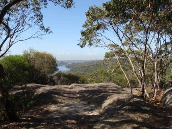 Curry rd to the bluff via the natural bridge 600x450