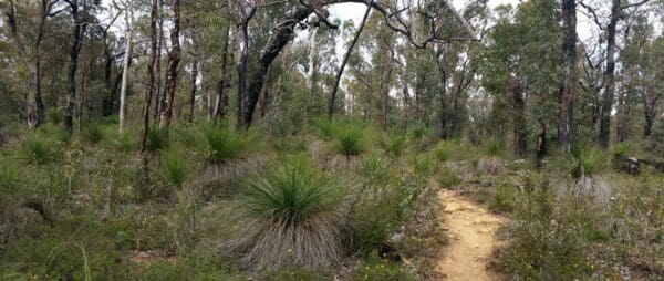 Hikes Eagle view trail 600x254