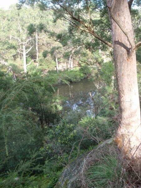 Fiddens wharf walking track 450x600