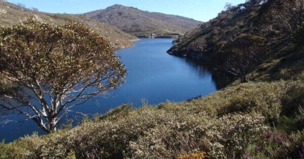 Guthega to Mt Twynam Hike (14.8km) Guthega to charlotte pass 600x315