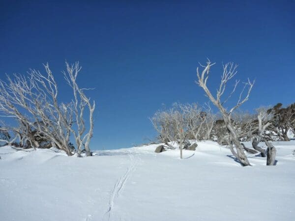 Wheatley circuit 1 600x450