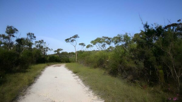 Bairne track to the basin lookout hike (7. 6km)