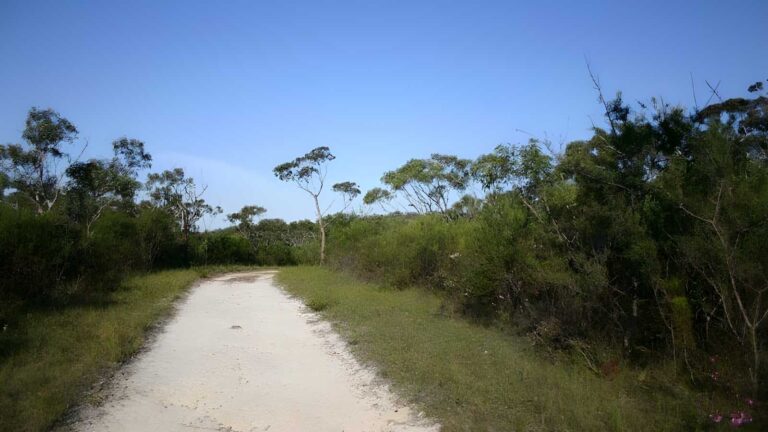 Bairne track to the basin lookout hike (7. 6km)