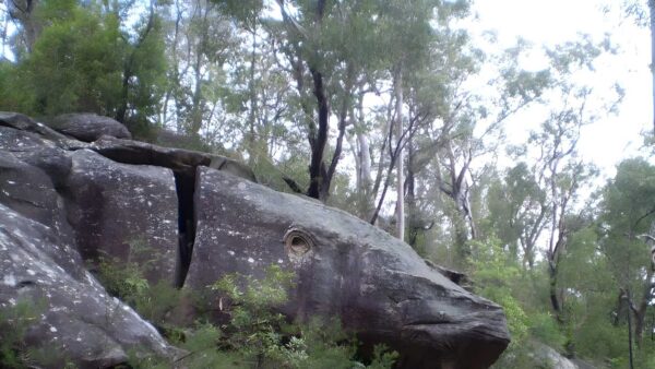 Belinda cres to whale rock walk (2. 8km)